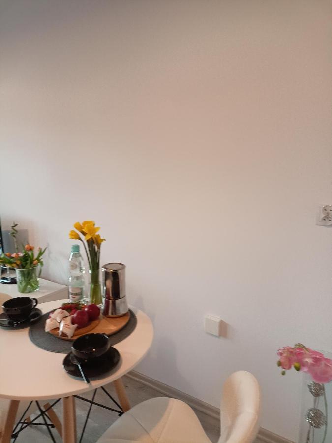 Apartament Z Sauna I Jacuzzi Apartment Radom Exterior photo
