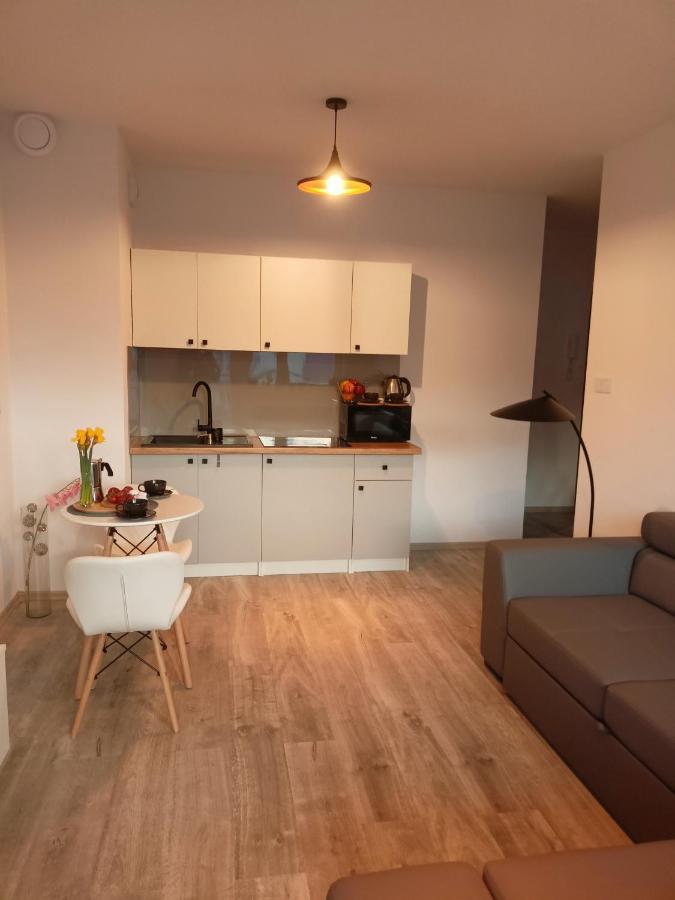 Apartament Z Sauna I Jacuzzi Apartment Radom Exterior photo
